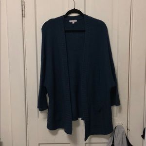 Sweater from American Eagle